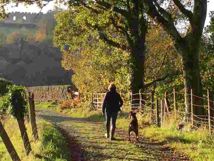 Find out more about Autumn Walks